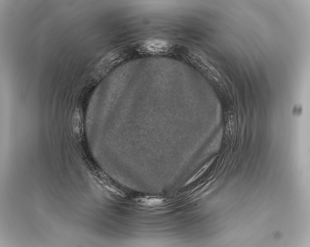 X0000094820651200711301630