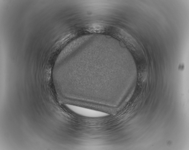 X0000094820652200711301630