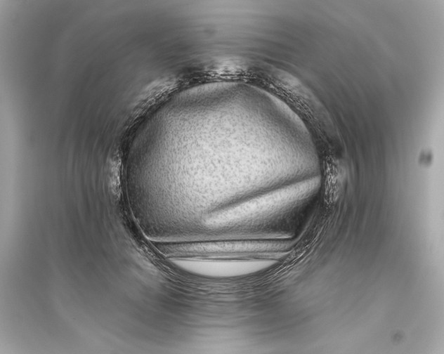 X0000094820654200711301631