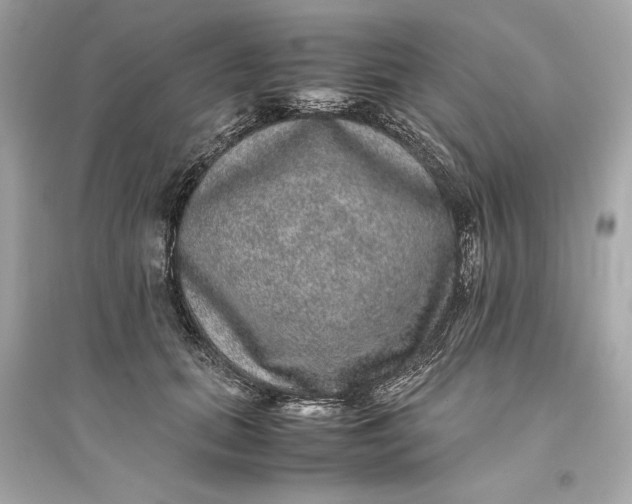 X0000094820655200711301631