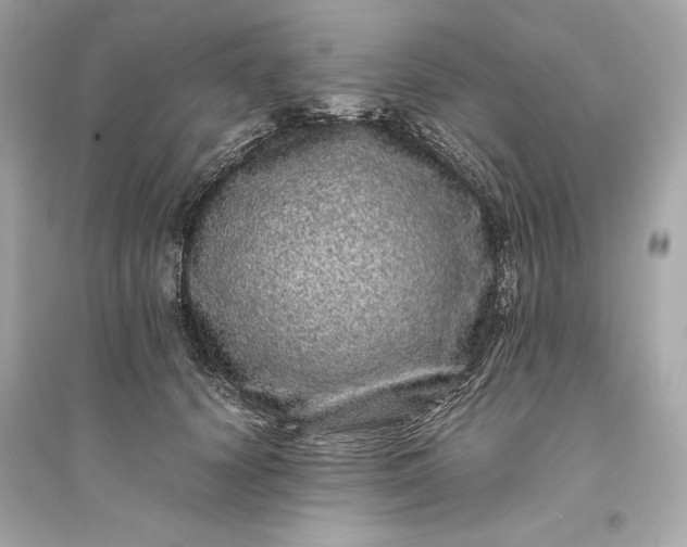 X0000094820656200711301631