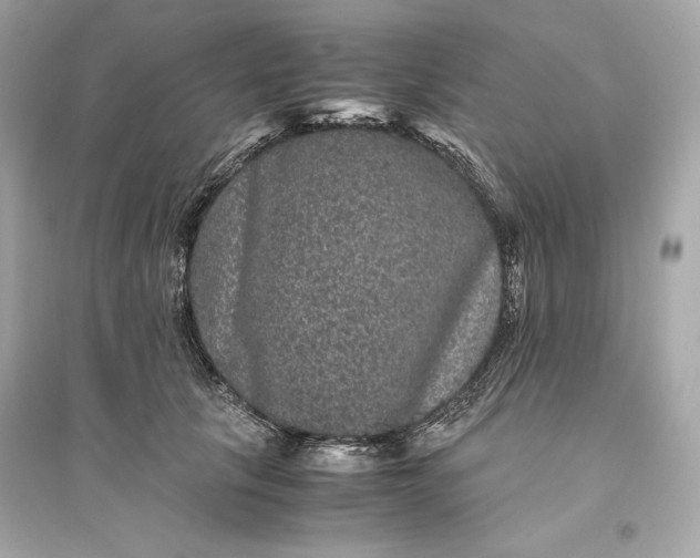 X0000094820657200711301631