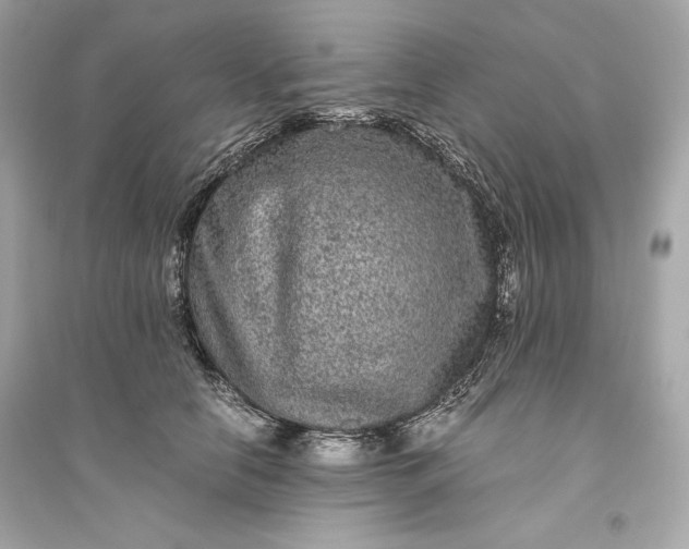 X0000094820658200711301631