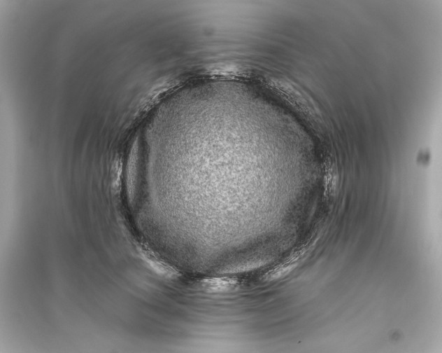 X0000094820660200711301631