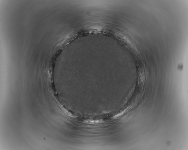 X0000094820661200711301631