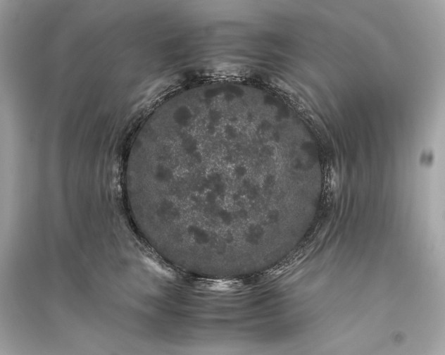 X0000094820663200711301631