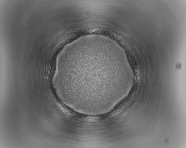 X0000094820664200711301631