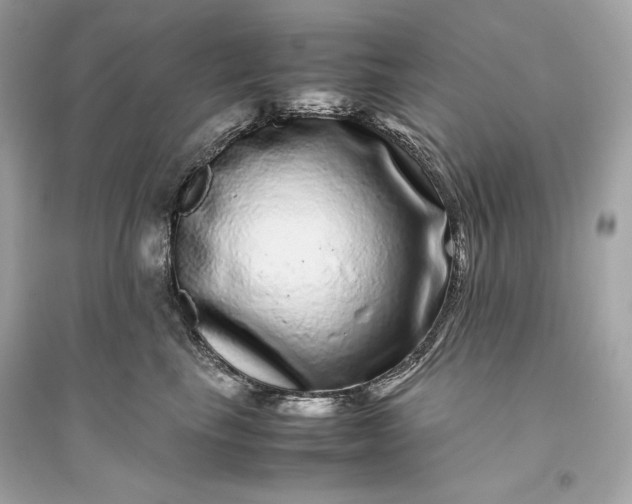 X0000094820665200711301631