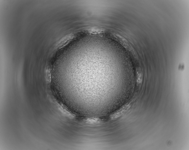 X0000094820666200711301631