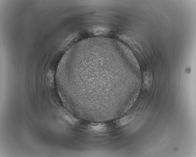 X0000094820667200711301631