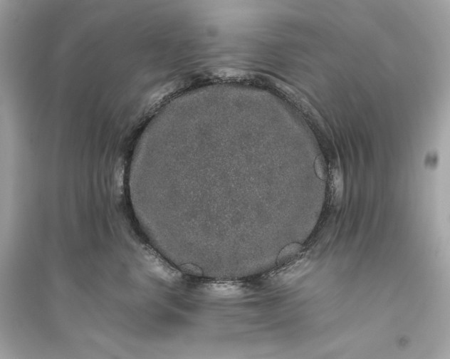 X0000094820668200711301631