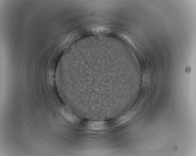 X0000094820671200711301631