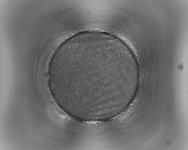 X0000094820673200711301630