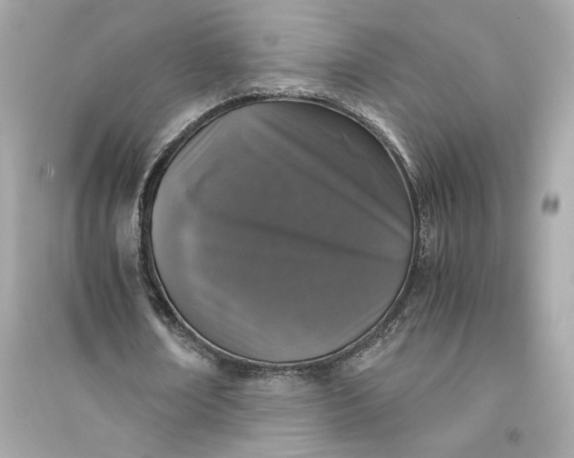 X0000094820674200711301630