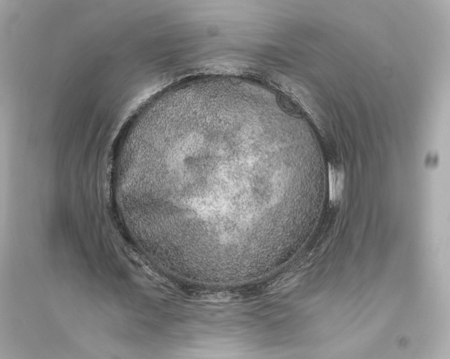 X0000094820675200711301630