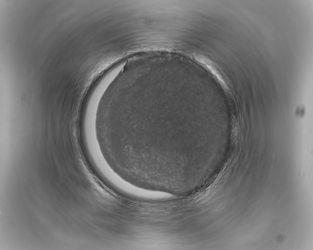 X0000094820677200711301630