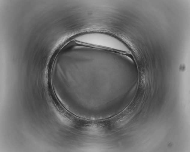 X0000094820678200711301630