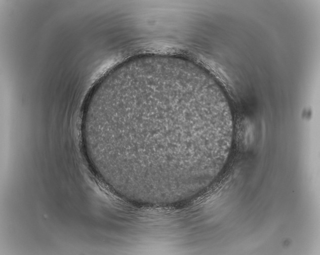 X0000094820679200711301630