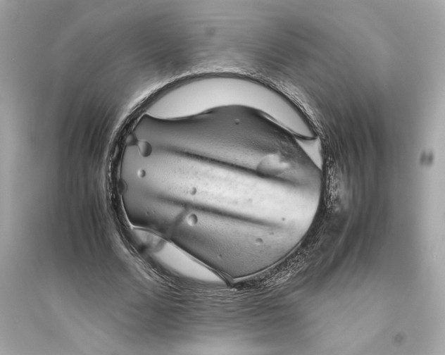 X0000094820680200711301630