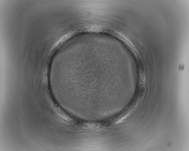 X0000094820681200711301630