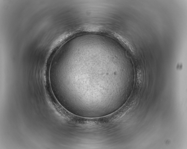 X0000094820682200711301630