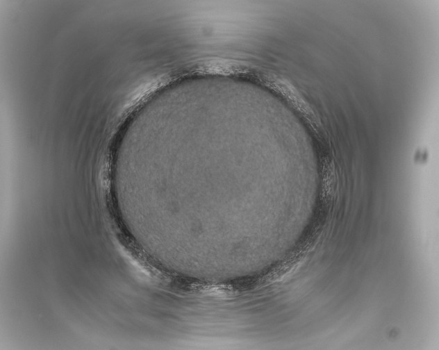 X0000094820683200711301630