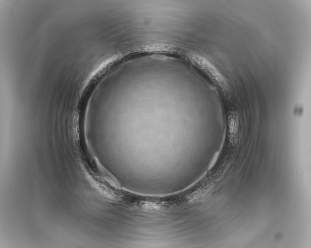 X0000094820684200711301630