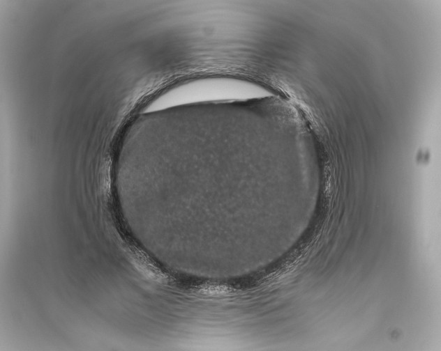 X0000094820685200711301630