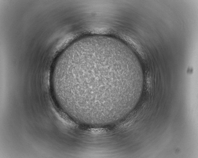 X0000094820686200711301630