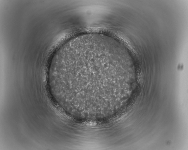 X0000094820687200711301630