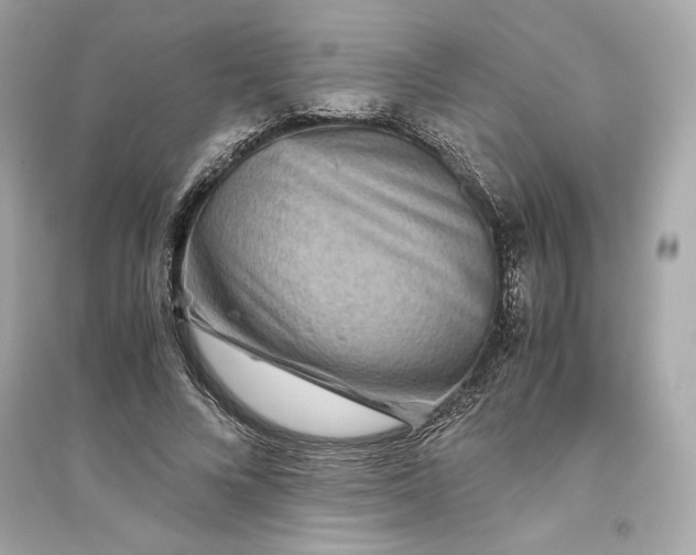 X0000094820688200711301630