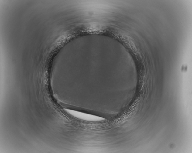 X0000094820689200711301630