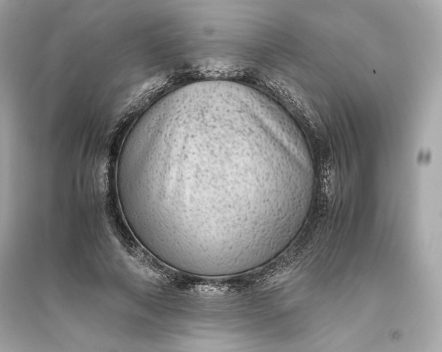 X0000094820690200711301630