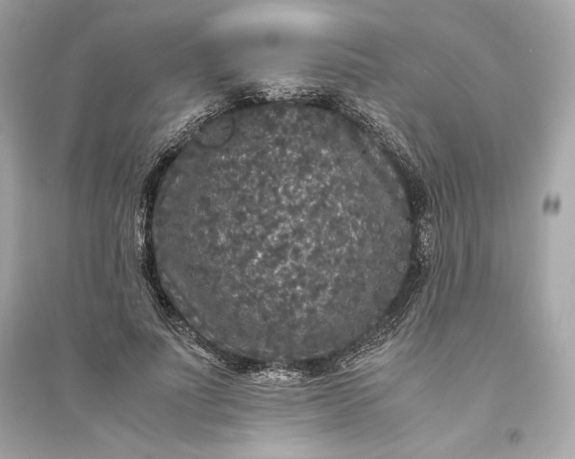 X0000094820691200711301630