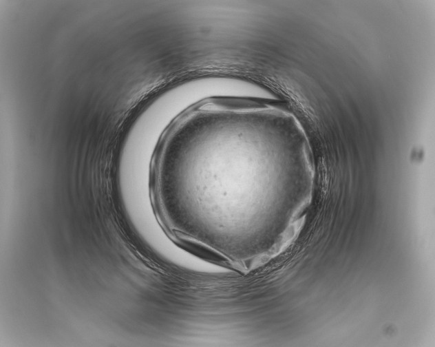 X0000094820692200711301630