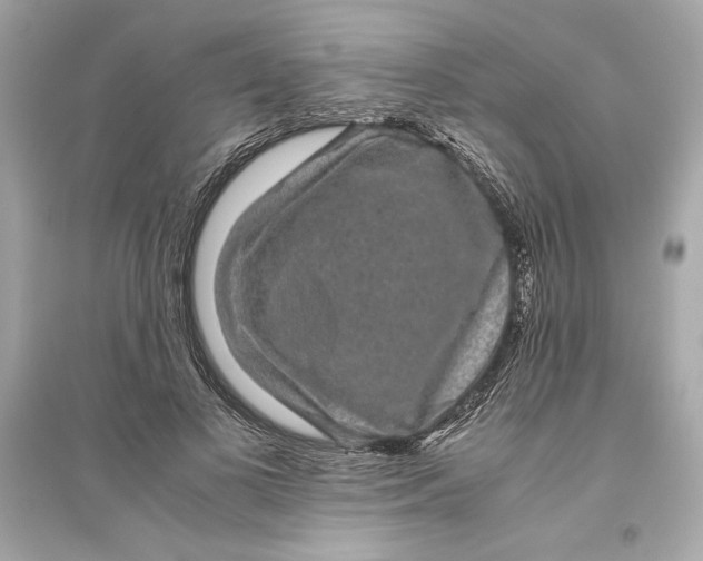 X0000094820693200711301630