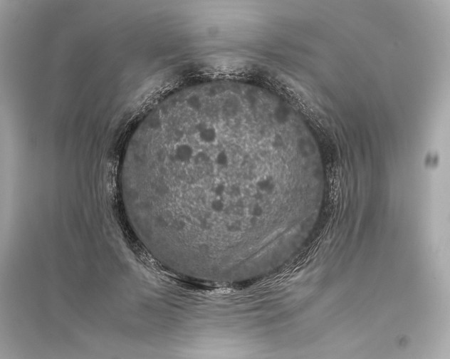 X0000094820695200711301630