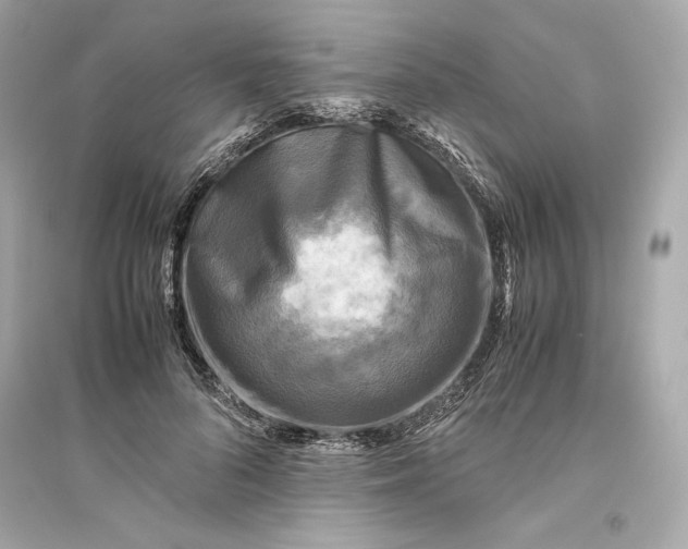 X0000094820696200711301630