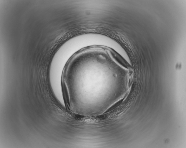 X0000094820697200711301630