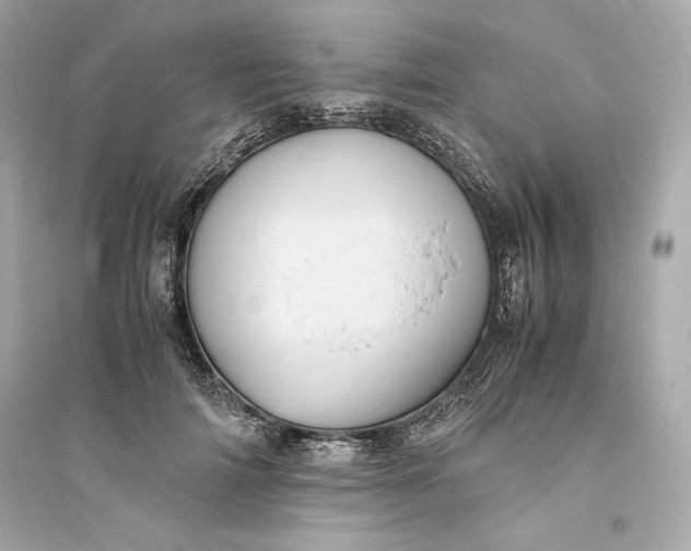 X0000094820698200711301630