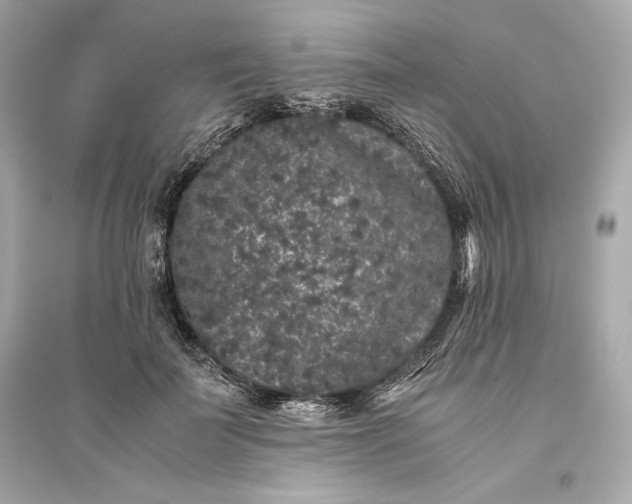 X0000094820699200711301630