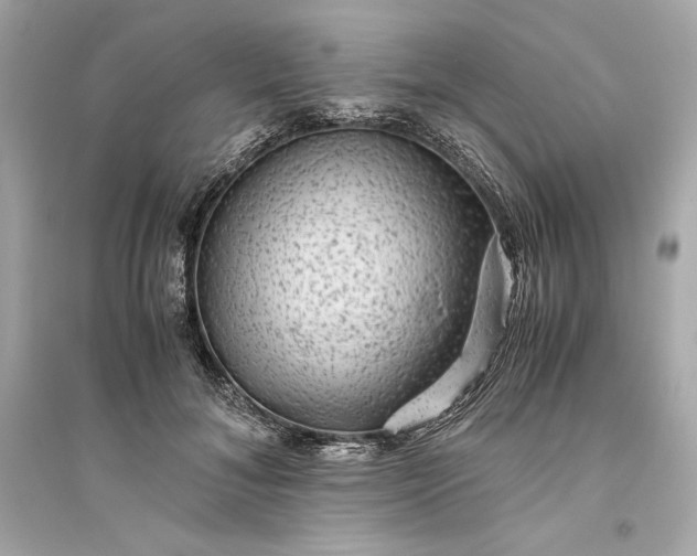 X0000094820700200711301630