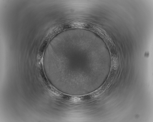 X0000094820701200711301630