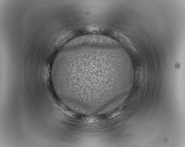 X0000094820702200711301630