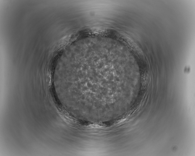 X0000094820703200711301630