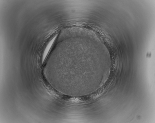 X0000094820704200711301630