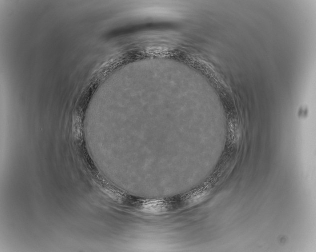 X0000094820705200711301630