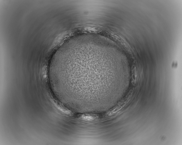 X0000094820706200711301630