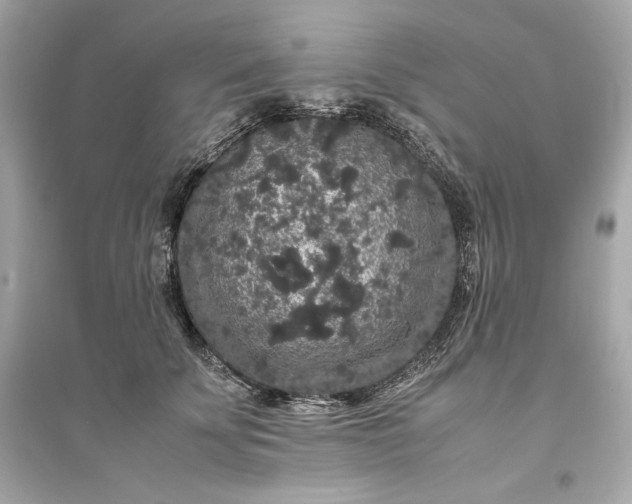 X0000094820707200711301630