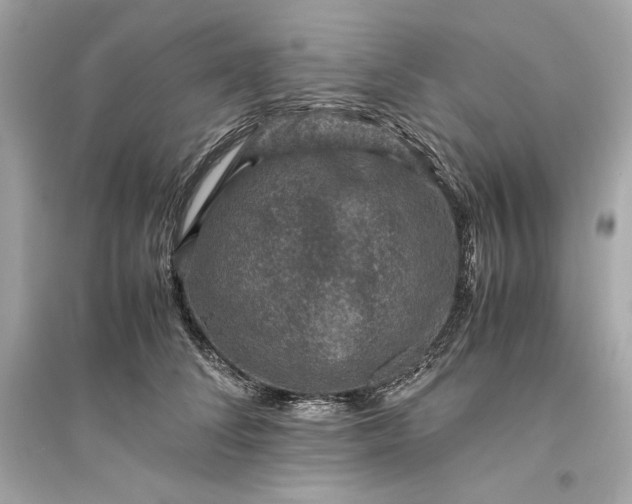 X0000094820708200711301630